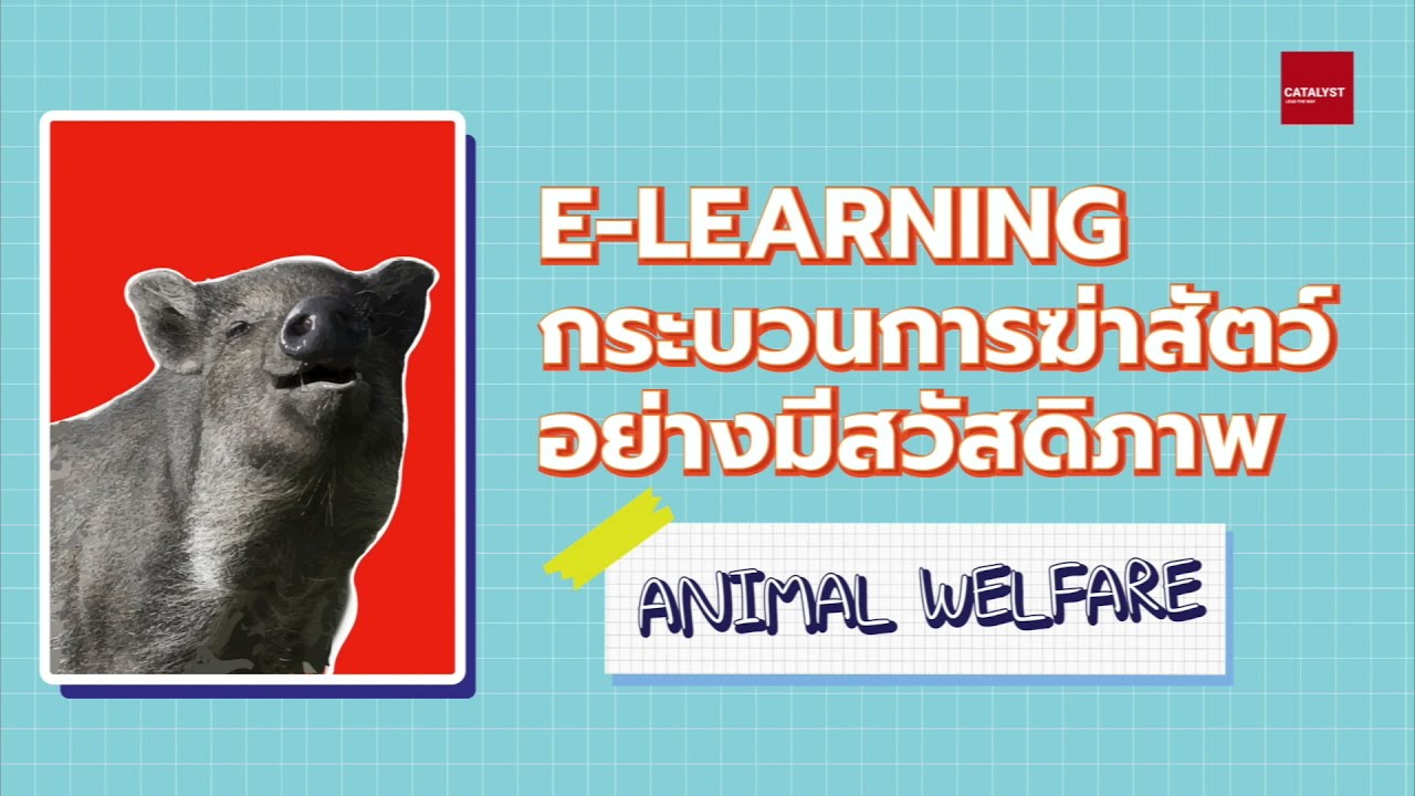 E-Learning กระบวนการฆ่าสัตว์อย่างมีสวัสดิภาพ  Animal Welfare